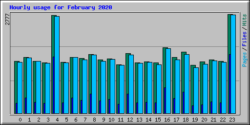 Hourly usage for February 2020