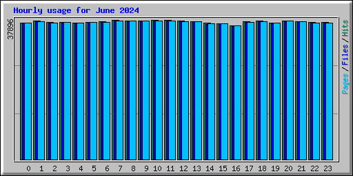 Hourly usage for June 2024